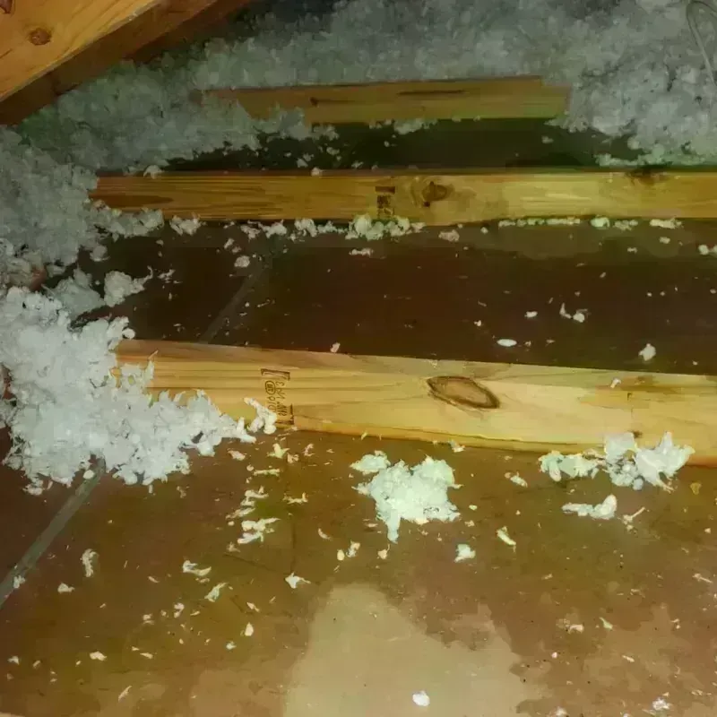 Best Attic Water Damage Service in Caldwell County, KY